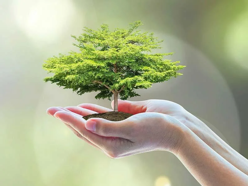 Der in der Produktion der Transformatorindustrie verwendete Ofen zum Eintauchen und Trocknen von Verhärtungsspulen 0